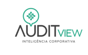 AUDITVIEW-LOGO_2